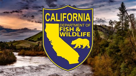 california department of fish and game